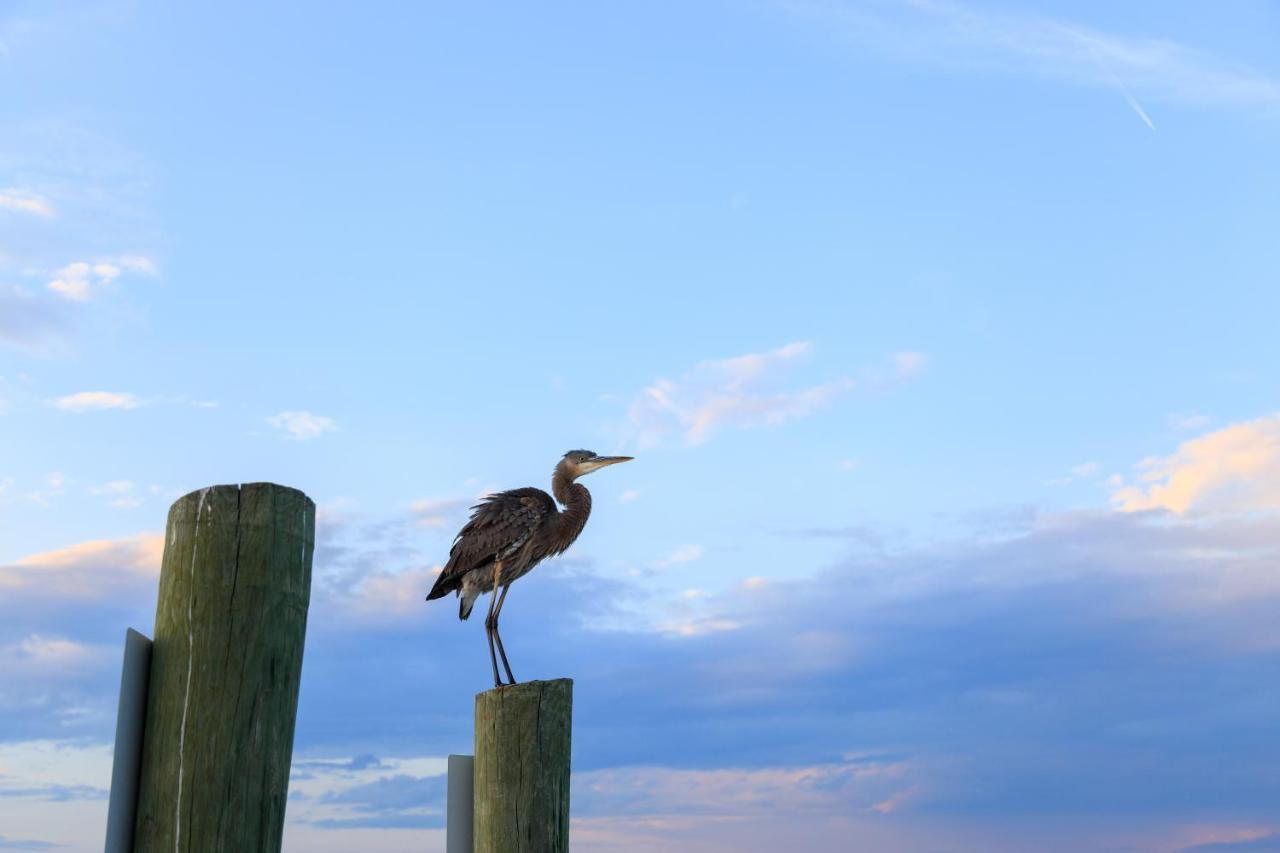 Heritage Villas Hilton Head Island Esterno foto